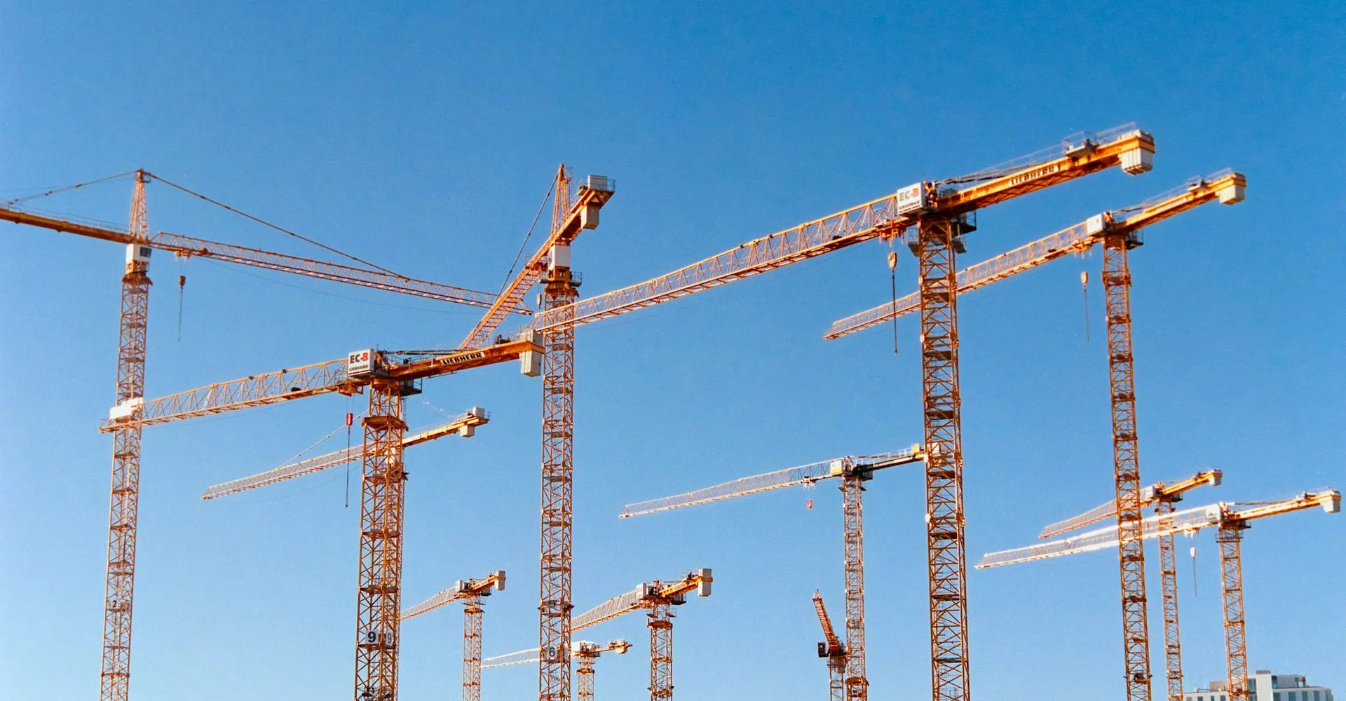 a bunch of cranes that are standing in the air